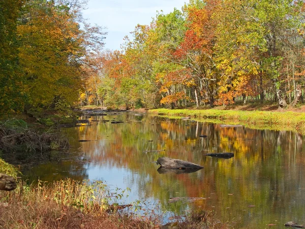 Καμπίνα τρέξει creek — Φωτογραφία Αρχείου