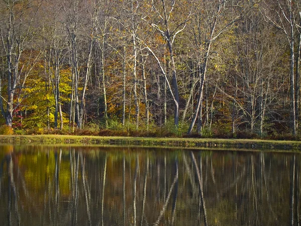 Höstens reflektioner — Stockfoto