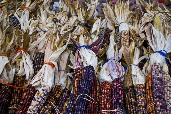 Фантазії кукурудзи — стокове фото
