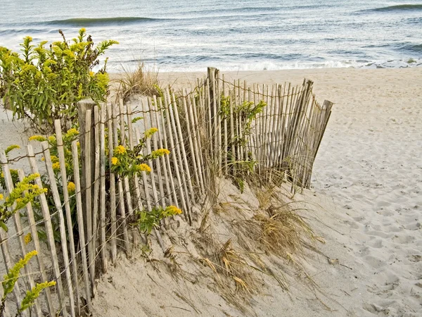 Duinen en hek — Stockfoto