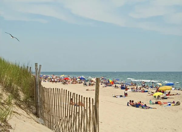 Eiland strand — Stockfoto