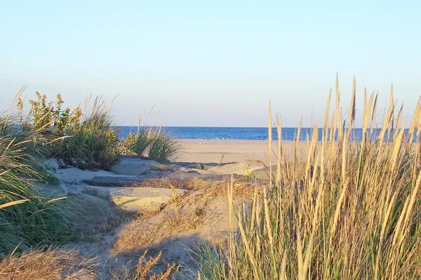 Naturliga sandstranden krok — Stockfoto