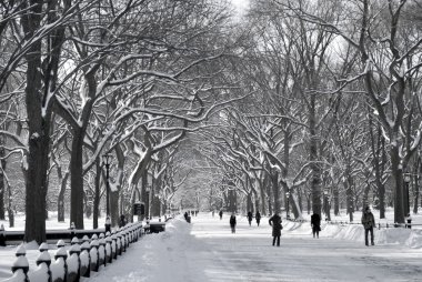 Central park alışveriş merkezi kış sahne