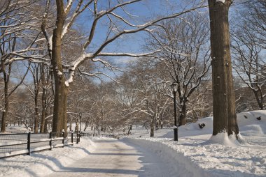 karlı yol central park