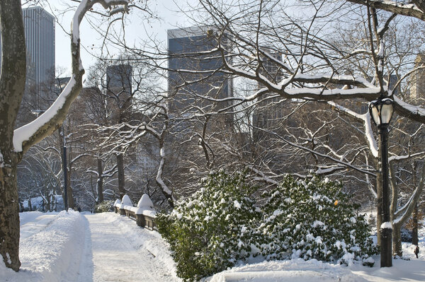 A classic Winter scen in Central Park after a freshly fallen snow.