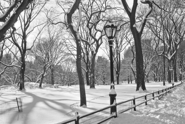 Central Park Snow B & W — Fotografia de Stock