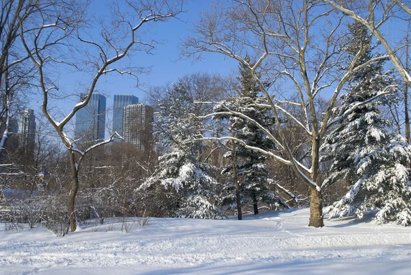 Parque de Inverno Central Park — Fotografia de Stock