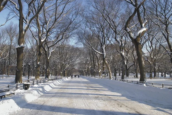 Winter Mall Central Park — Stockfoto