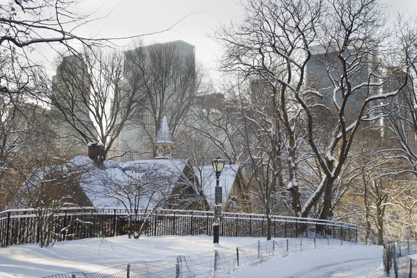 Winterszene Central Park — Stockfoto