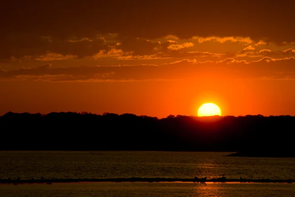 El sol caliente — Foto de Stock