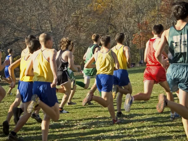 X Country — Stock Photo, Image