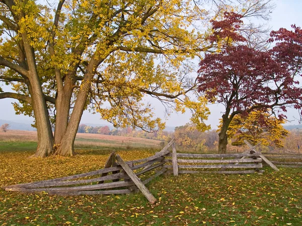 Valley Forge Morn — Stockfoto