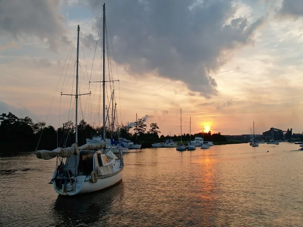 Boschetto di oceano — Foto Stock