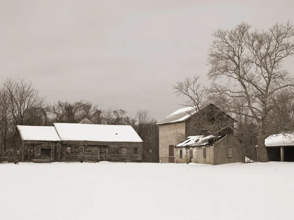 Boerderij sepia — Stockfoto