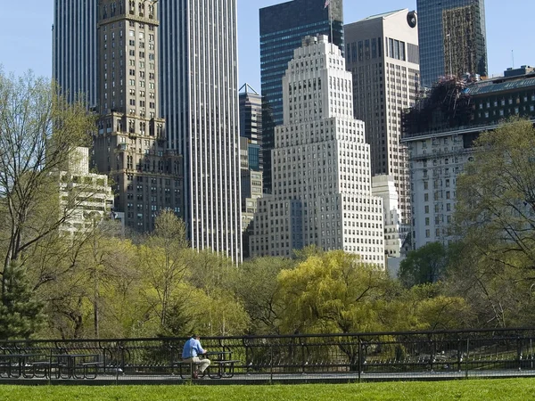 Uitzicht op het centrale park — Stockfoto