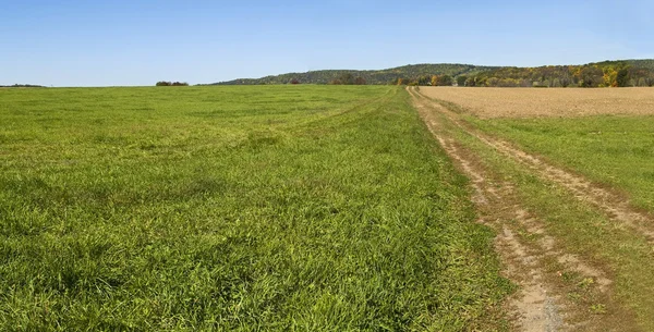 Boerderij weg panorama — Stockfoto