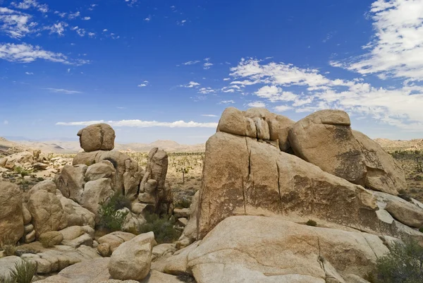 Formation, Joshua Tree — Stockfoto