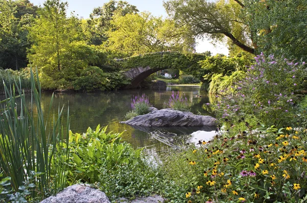 Ponte di pietra di Central park — Foto Stock