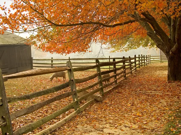 Herbstscheune — Stockfoto