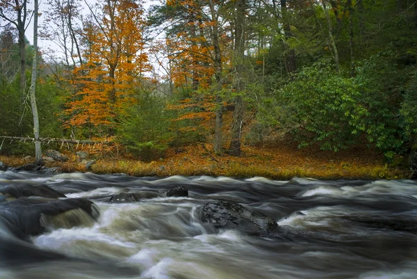 Flowing Bushkill Creek — Stock Photo, Image