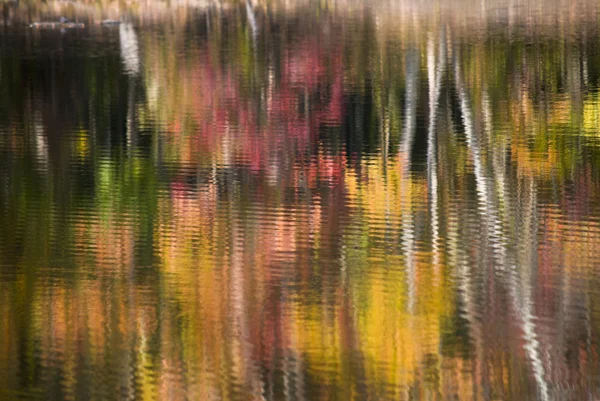 Podzimní abstrakt — Stock fotografie
