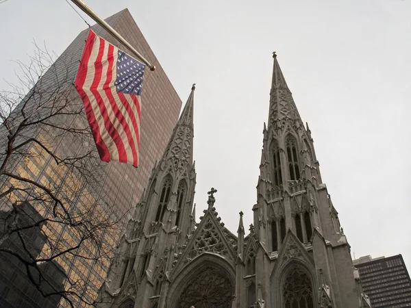 St. Patrick 's Cathedral — Stockfoto