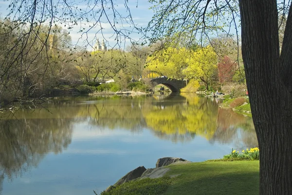 Central park sjön våren — Stockfoto