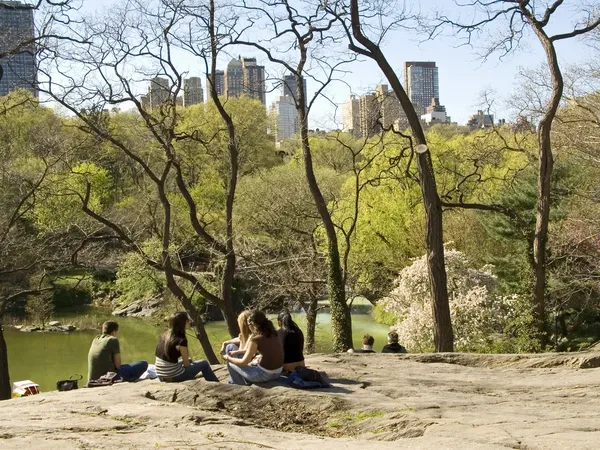 Vue sur le parc central — Photo