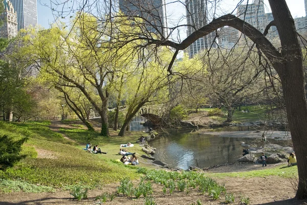 Peaceful Central Park — Stock Photo, Image