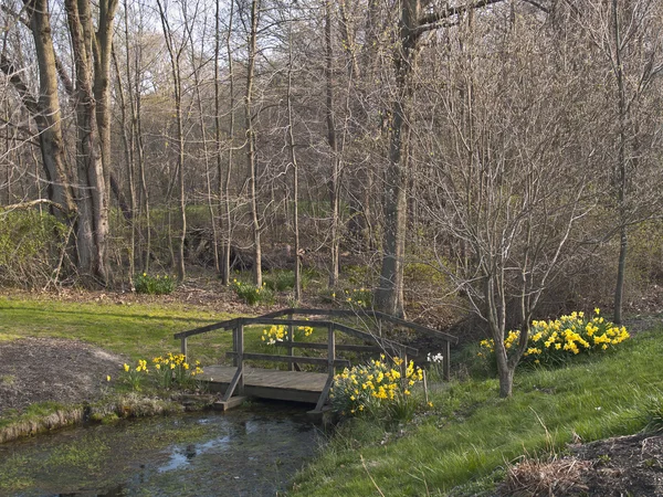 Early Spring — Stock Photo, Image