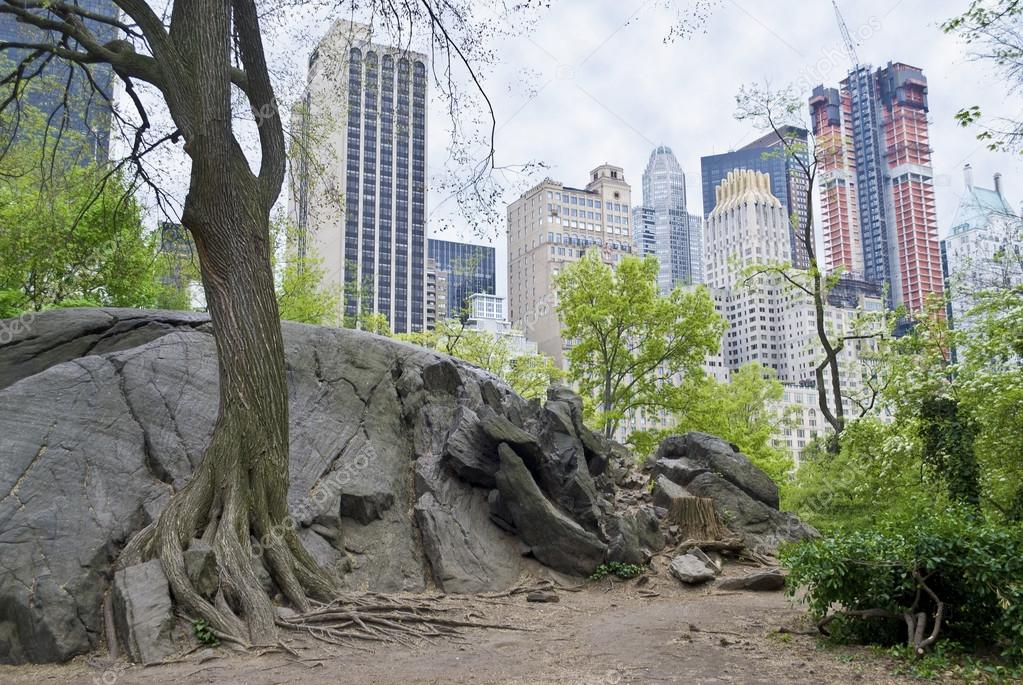 Roca ve central park fotografía de stock © andykazie 13287175