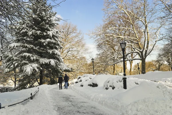 Besneeuwde central park lopen — Stockfoto