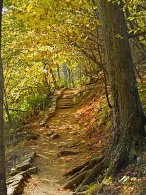 Autumn Trail clipart