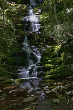Görünüm Buttermilk falls
