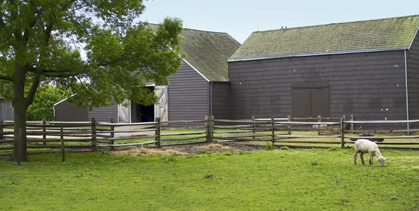 Barnyard Panorama — Stock Photo, Image