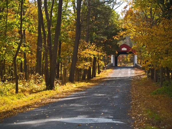 Kabin üstü kapalı köprü koşmak