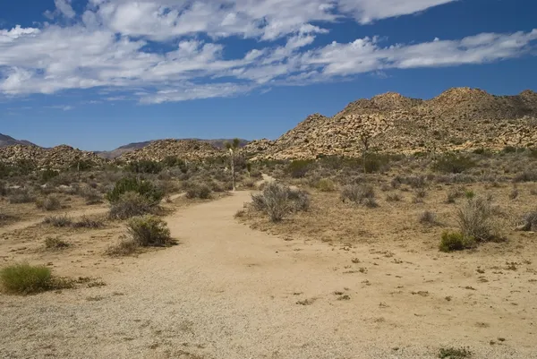 Camino del Desierto —  Fotos de Stock