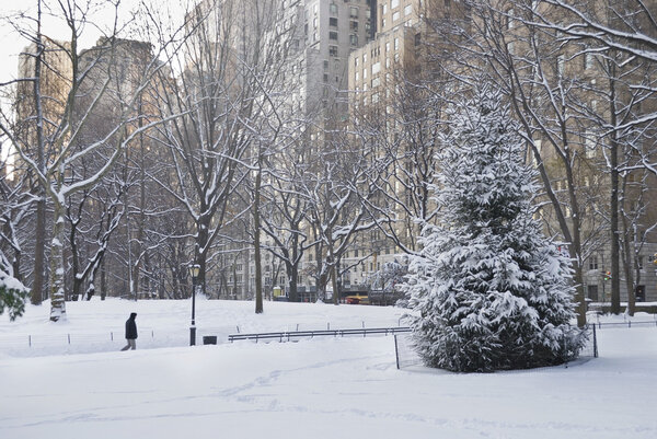 A Winter view of Central Park after a fresh snowfall.
