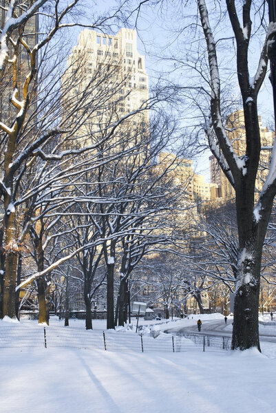 A view of Central Park and surrounding buildings after a fresh snowfall.