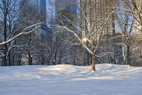 Moderner Schnee, zentraler Park — Stockfoto
