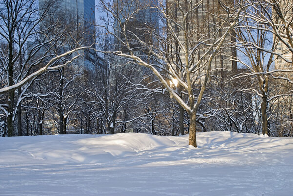 A view of Central Park and surrounding buildings after a fresh snowfall.