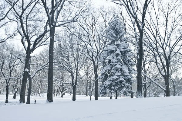 Winterszene Central Park — Stockfoto