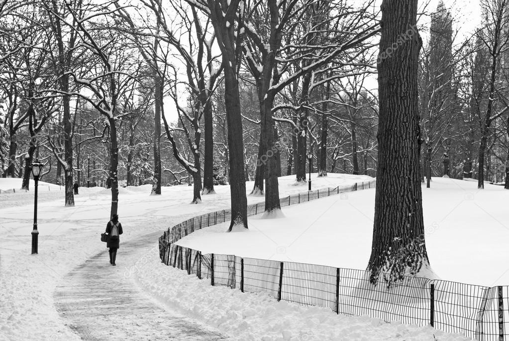 Winter Path Central Park