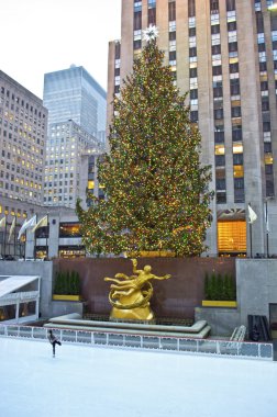 Rockefeller center ağaç ve pisti