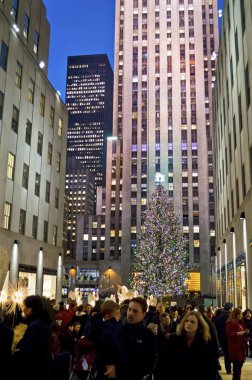 yüksek binalar ve ağaç