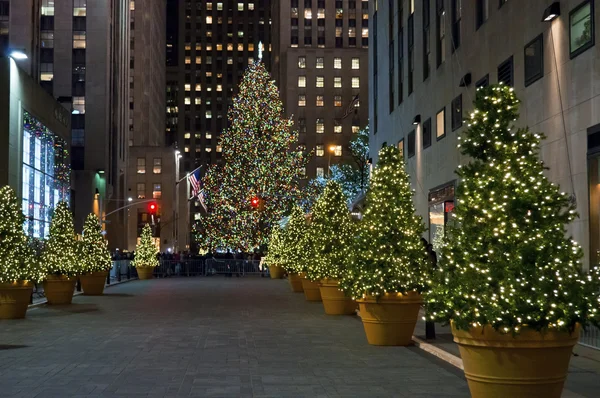 Rockefeller center Noel ağaçları — Stok fotoğraf