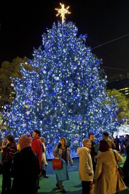 Bryant Parkı yılbaşı ağacı