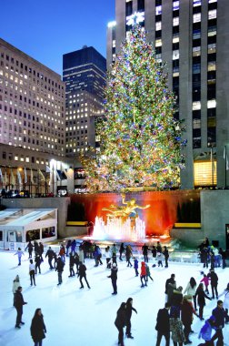 ağaç ve pisti 2012