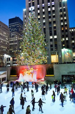 buz pateni ağaç ve pisti 2012