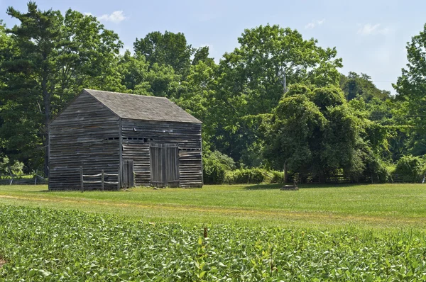 Summershack — Stockfoto